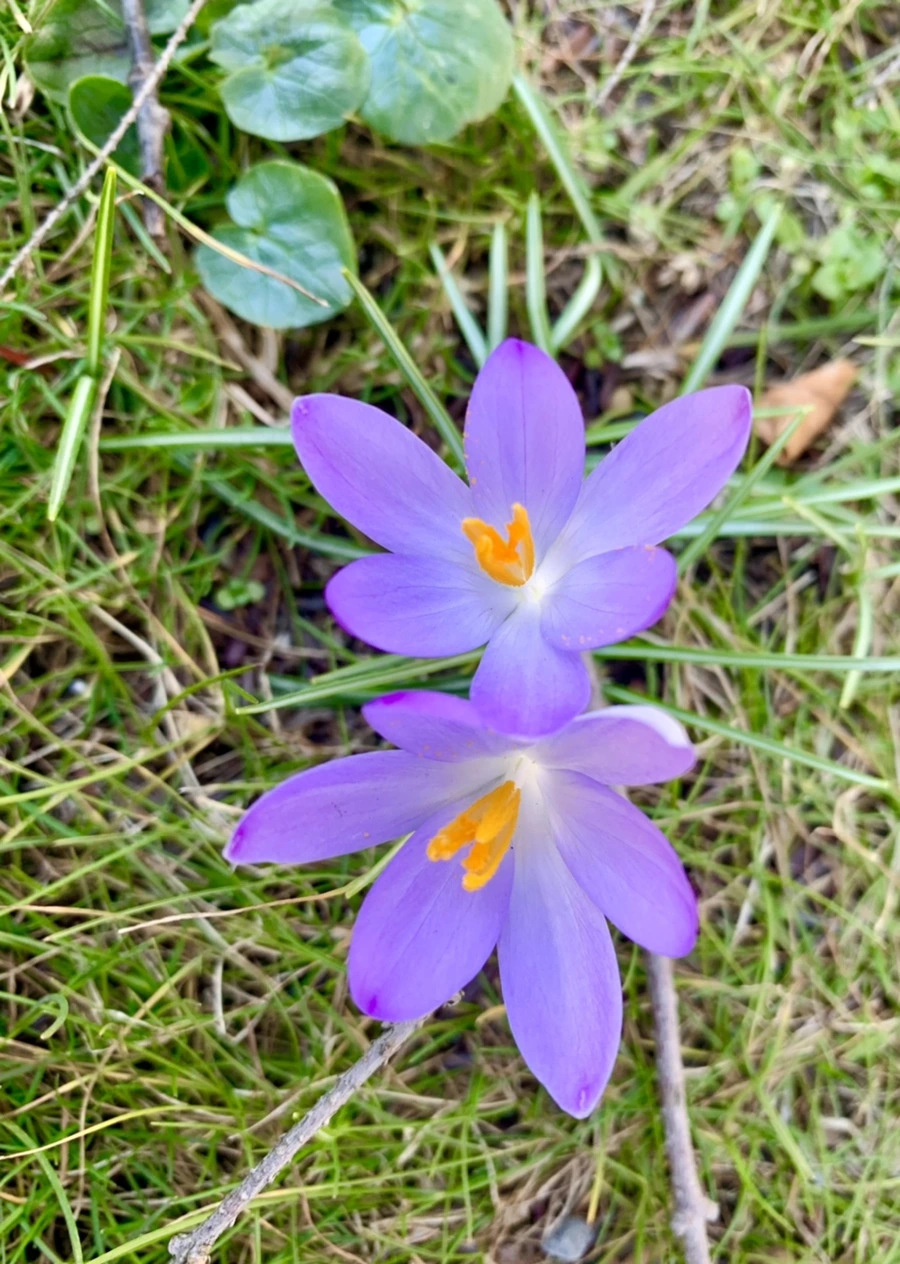 IMG_7049.jpg?type=w966