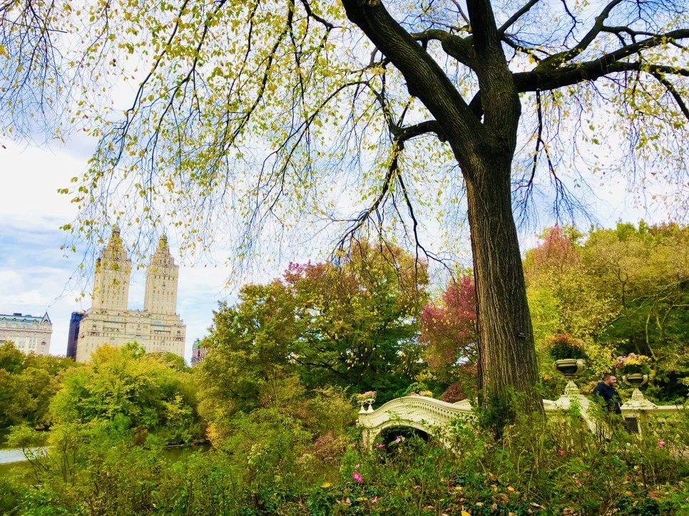 IMG_3042.jpg?type=w966