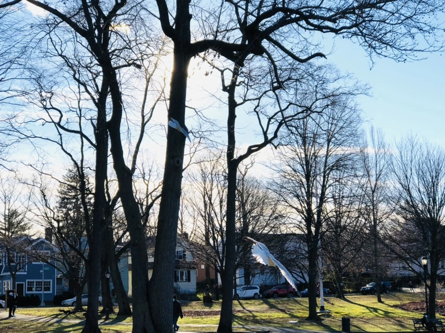 IMG_9310.jpg?type=w966