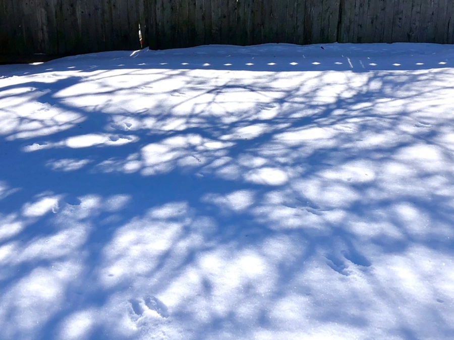 IMG_3997.jpg?type=w966