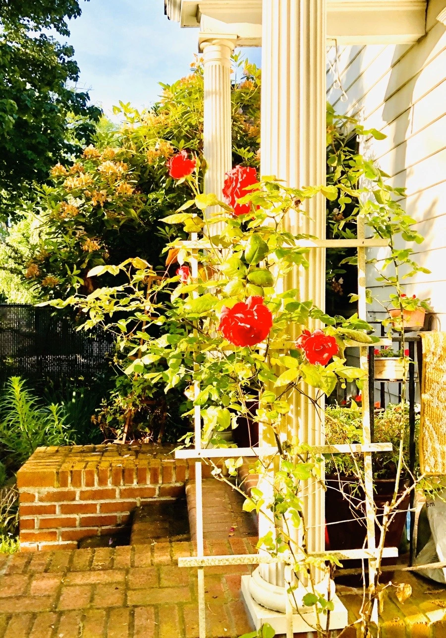 nUyK7md-mJuXRQDfnrR56f1jLq4