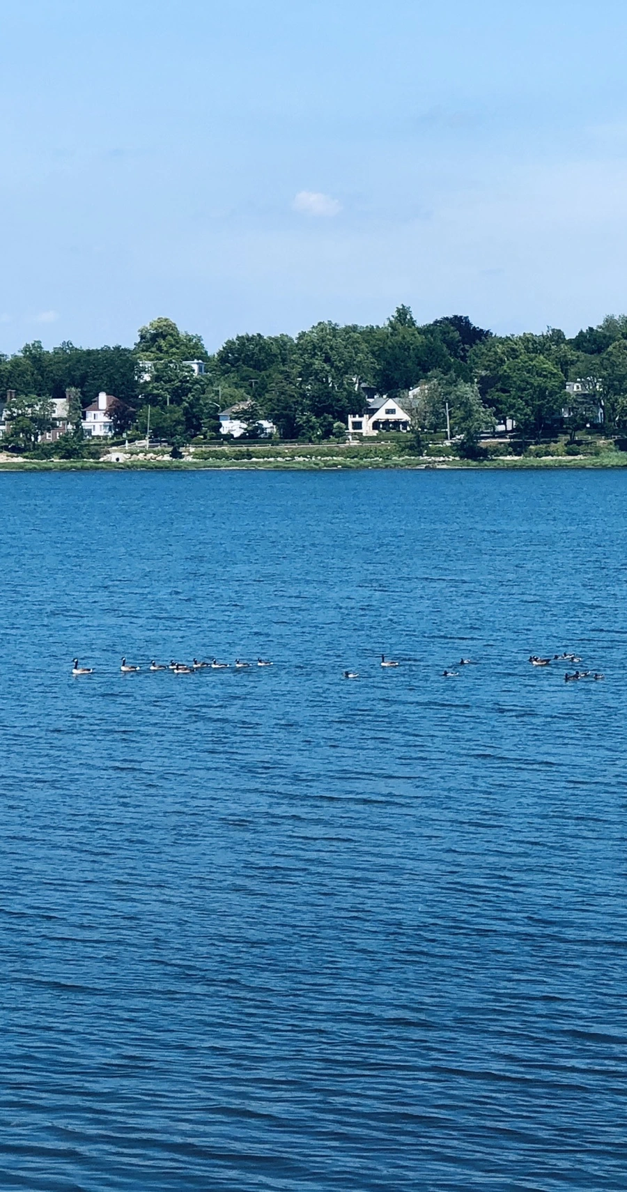 IMG_9761.jpg?type=w966