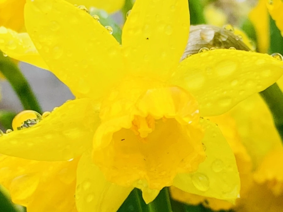 IMG_3714.jpg?type=w966