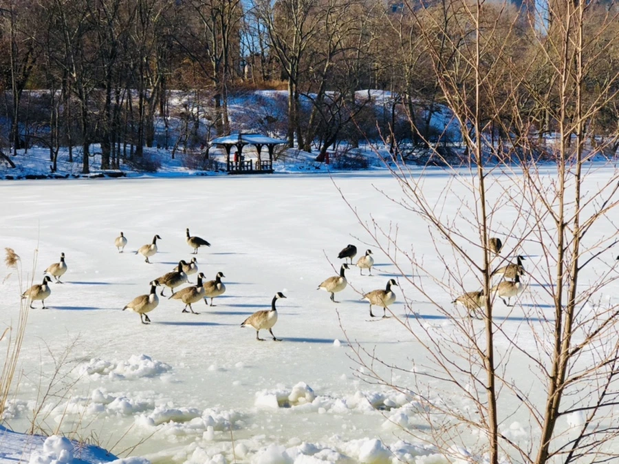 IMG_9793.jpg?type=w966