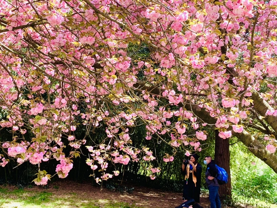 IMG_6480.jpg?type=w966