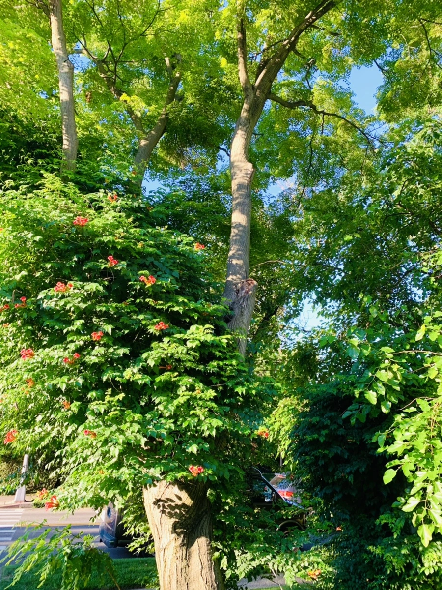 IMG_6492.jpg?type=w966