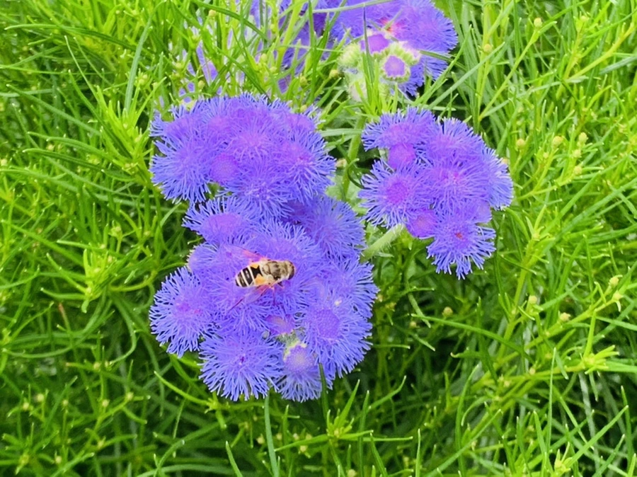 IMG_4941.jpg?type=w966