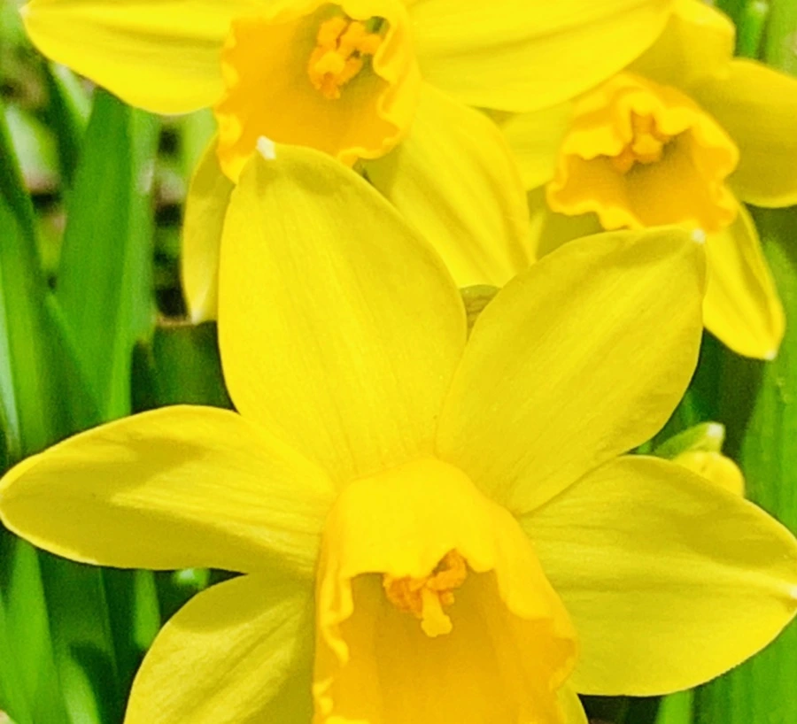 IMG_3415.jpg?type=w966