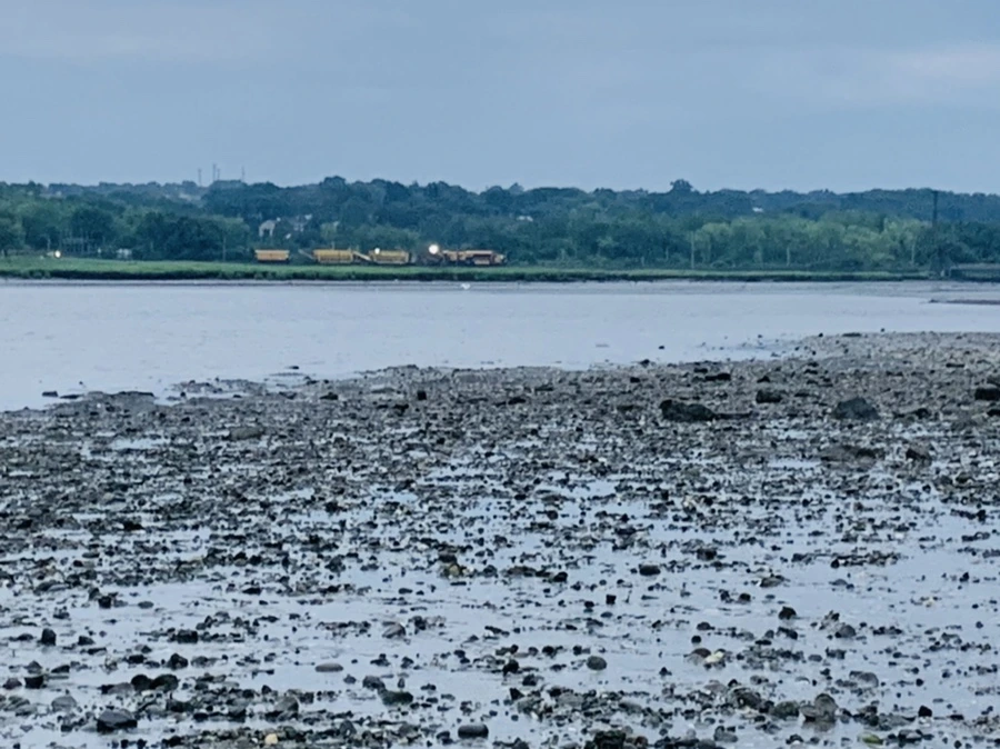 IMG_0742.jpg?type=w966