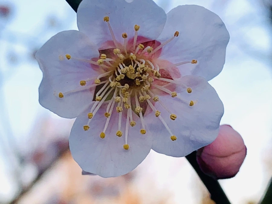 IMG_2309.jpg?type=w966