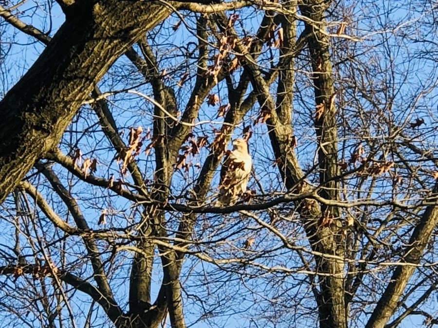 IMG_4839.jpg?type=w966