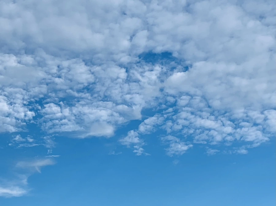 IMG_6986.jpg?type=w966