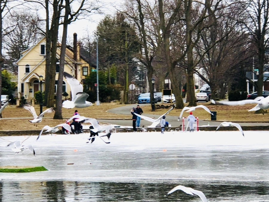 IMG_8528.jpg?type=w966