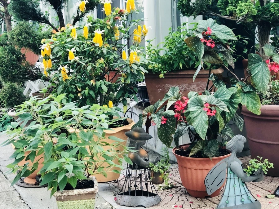 IMG_0983.jpg?type=w966