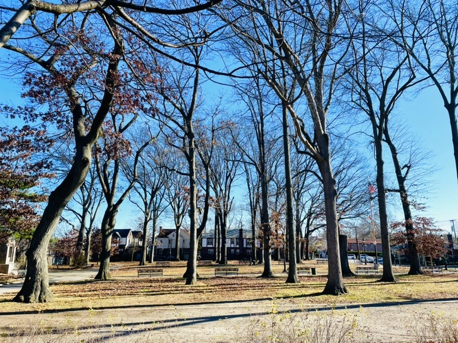 IMG_7497.jpg?type=w966