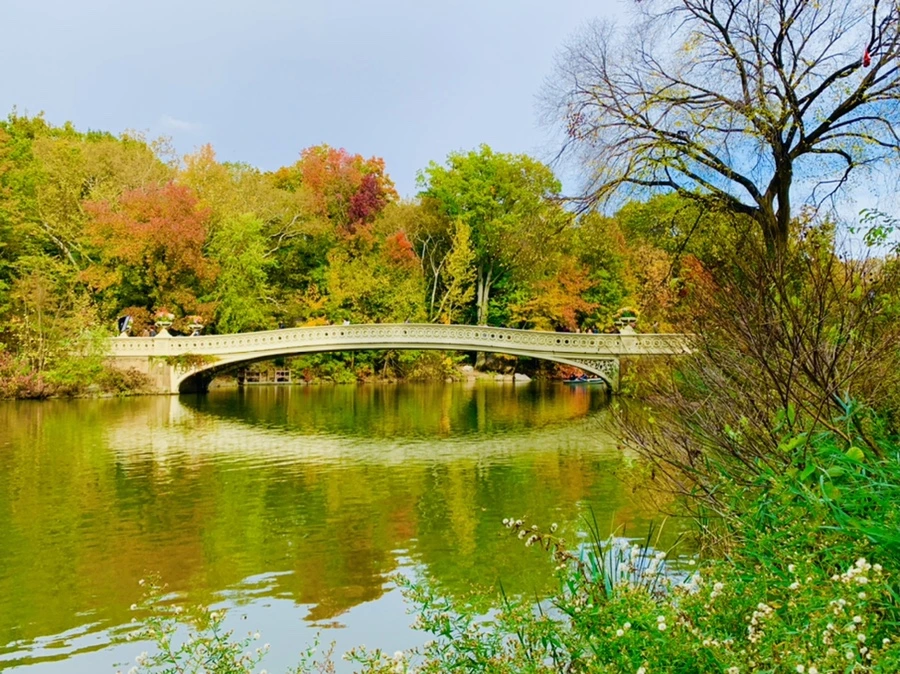 IMG_0179.jpg?type=w966