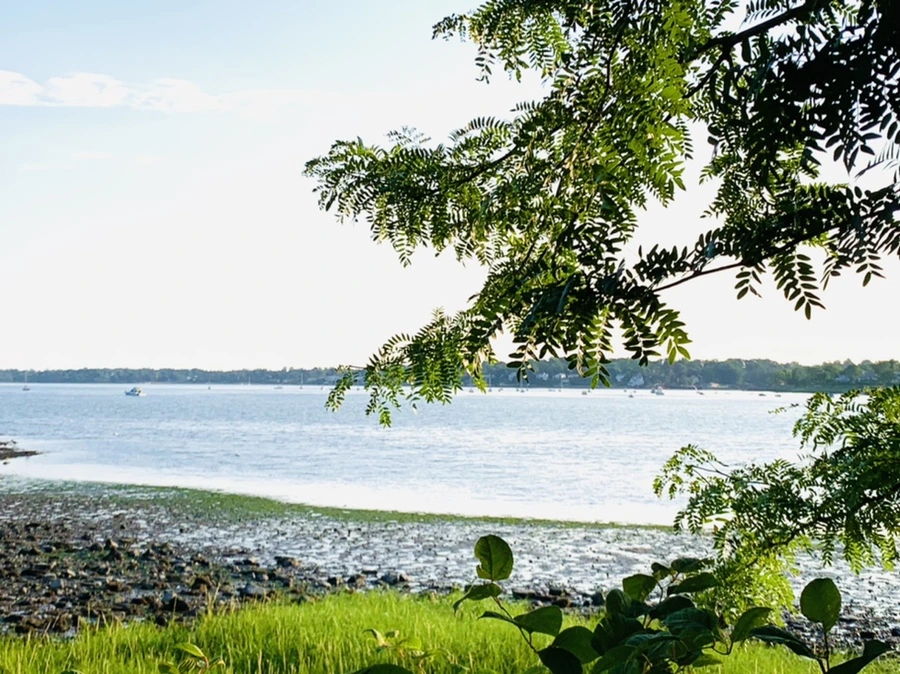 IMG_9836.jpg?type=w966