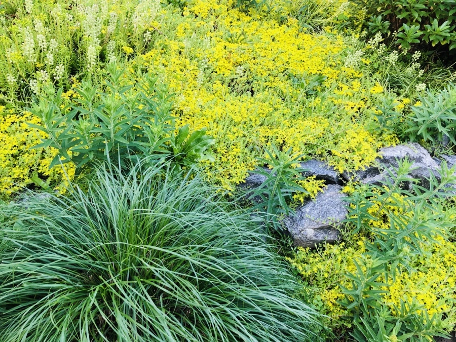 IMG_8382.jpg?type=w966