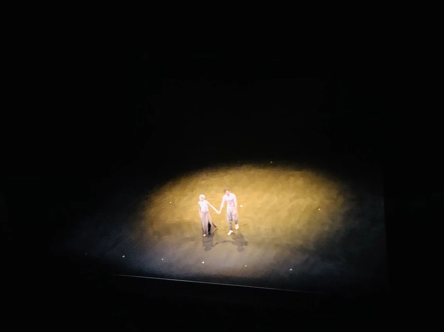 IMG_0956.jpg?type=w966