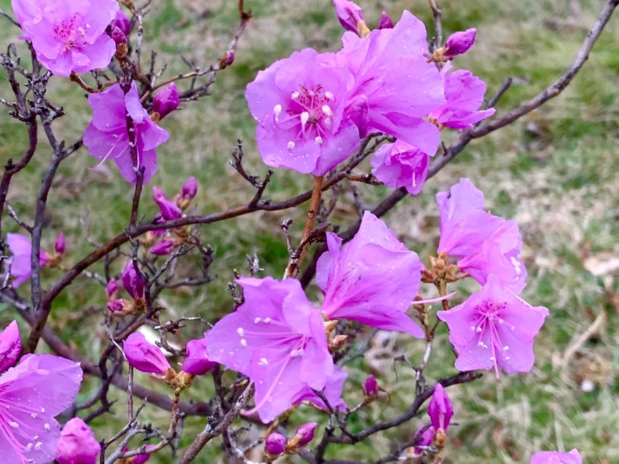 IMG_4773.jpg?type=w966