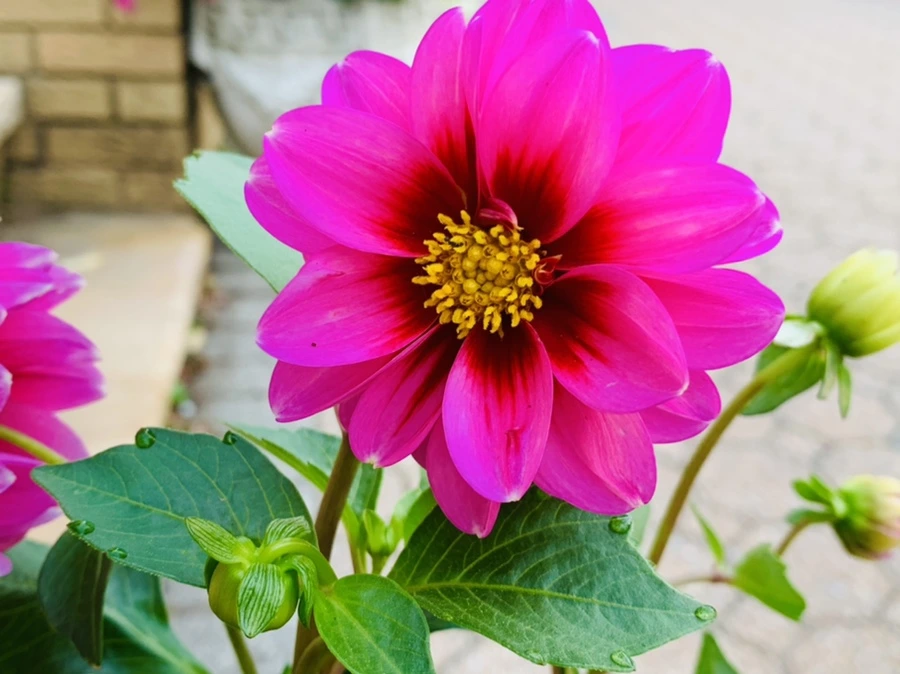 IMG_8923.jpg?type=w966