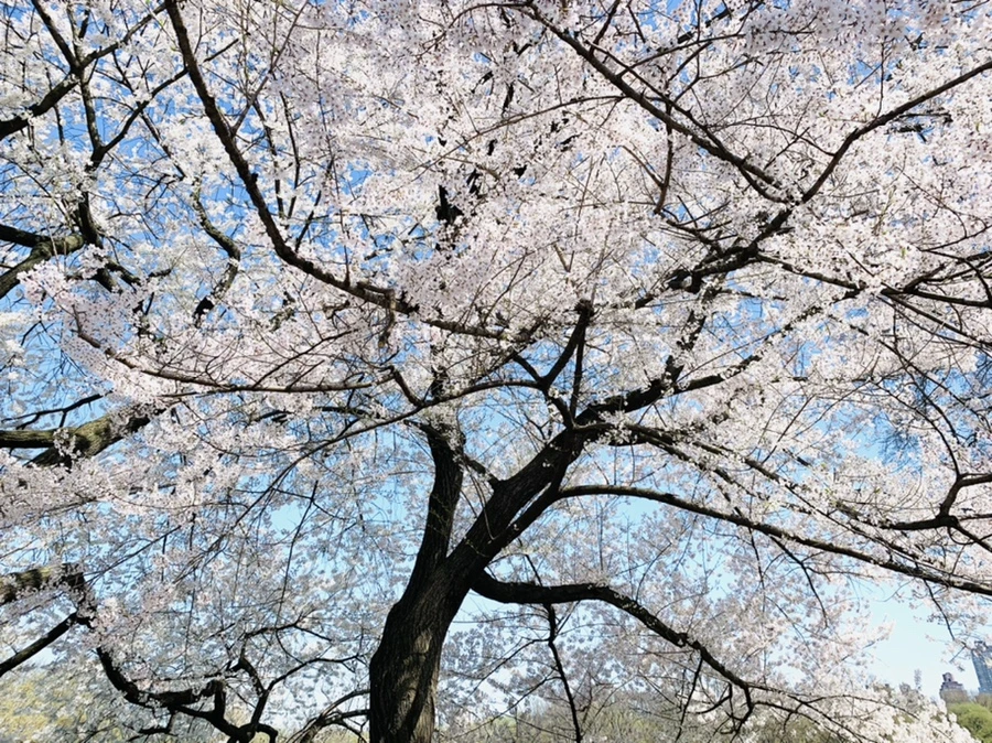 IMG_8926.jpg?type=w966