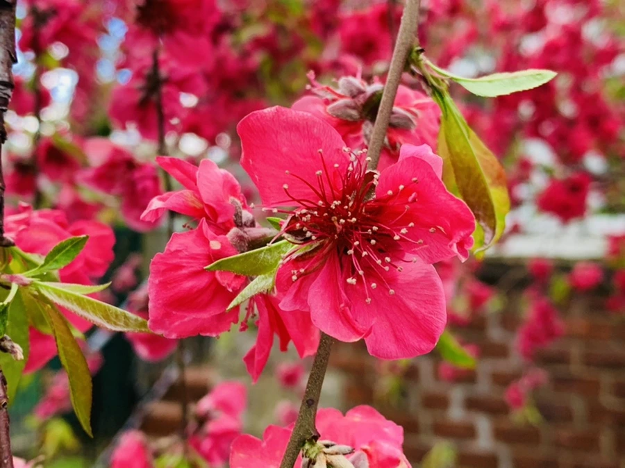 IMG_7963.jpg?type=w966