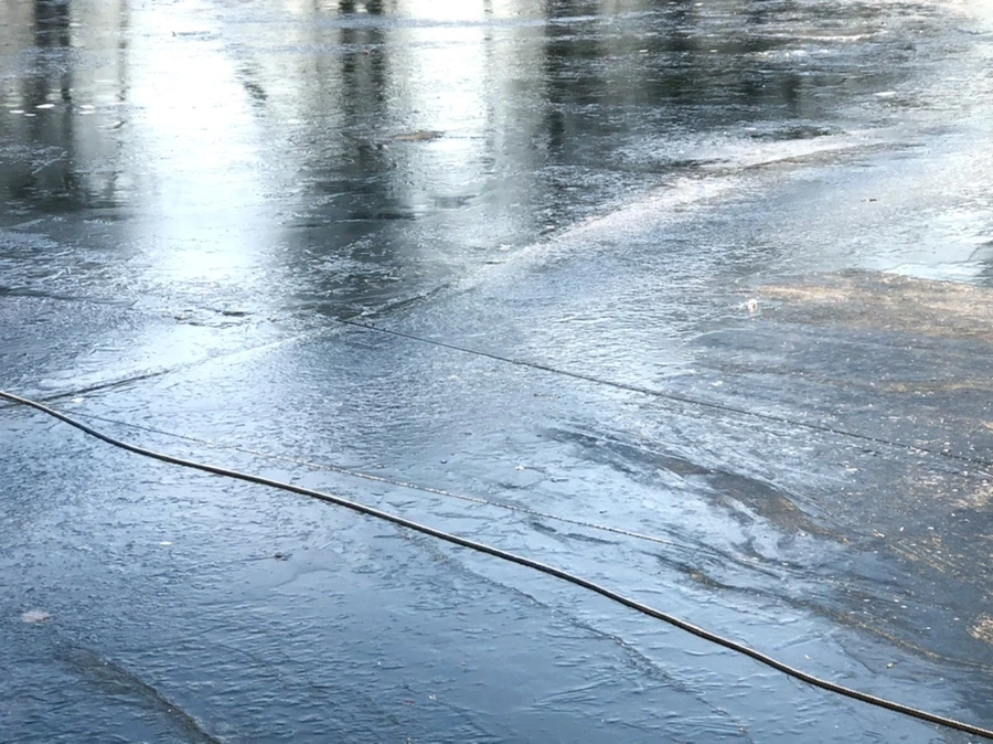 IMG_2233.jpg?type=w966