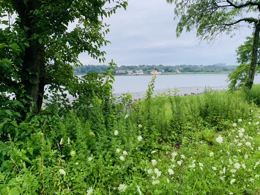 IMG_0760.jpg?type=w966