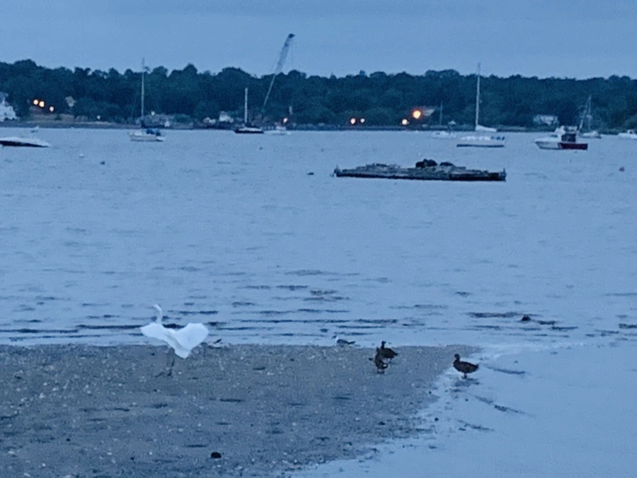 IMG_6730.jpg?type=w966