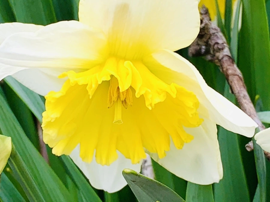 IMG_3683.jpg?type=w966