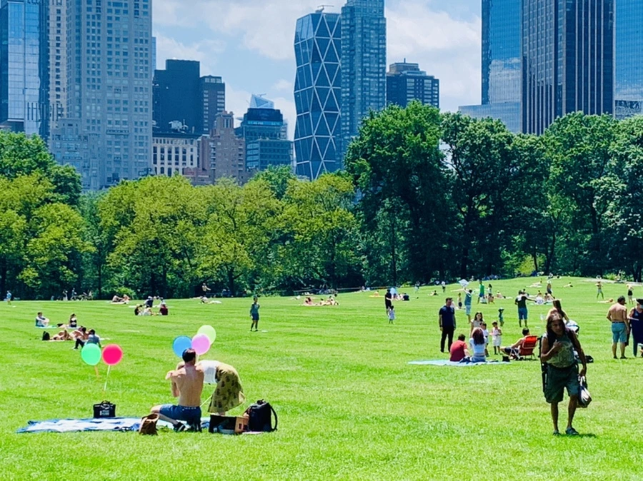 IMG_5385.jpg?type=w966