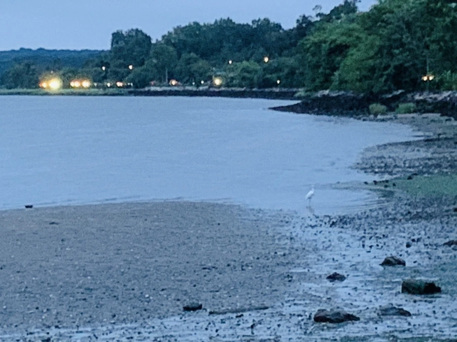 IMG_6715.jpg?type=w966