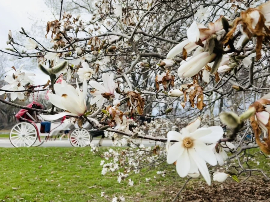 IMG_8164.jpg?type=w966