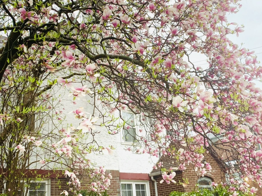 IMG_2245.jpg?type=w966