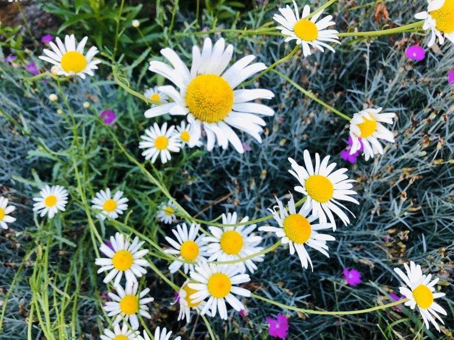 R83eoQR2BsAvhkAzJ6ejcF8QJQQ