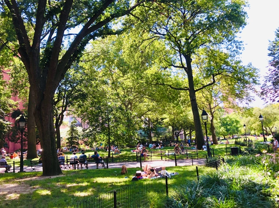 IMG_5433.jpg?type=w966