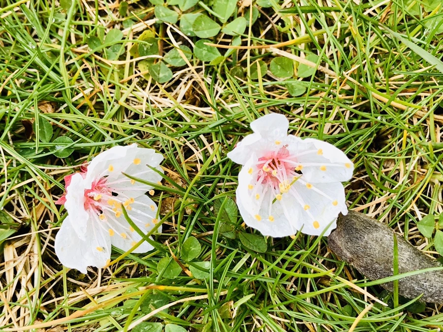 IMG_6428.jpg?type=w966