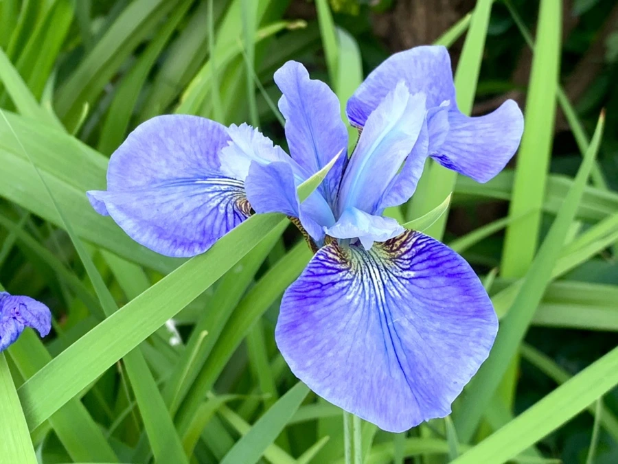 IMG_4508.jpg?type=w966