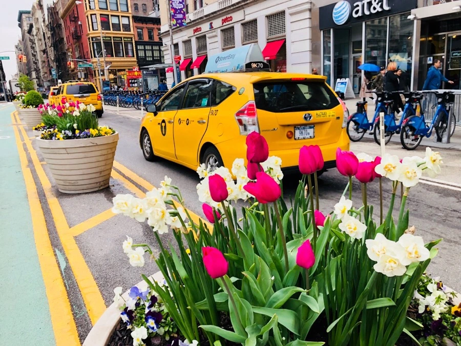 IMG_4909.jpg?type=w966