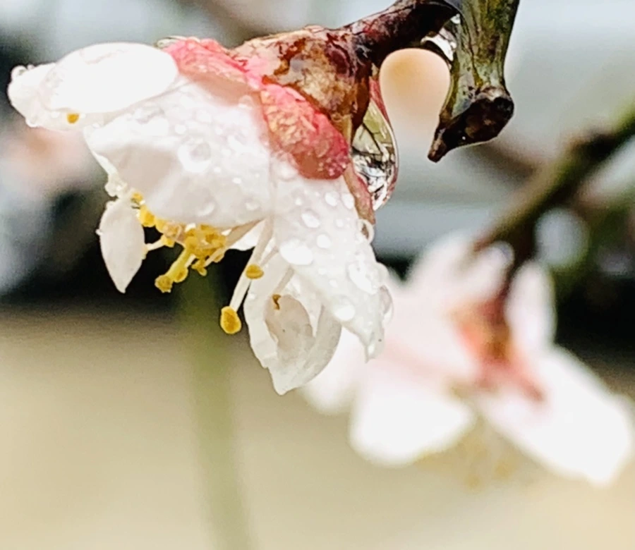 IMG_1922.jpg?type=w966