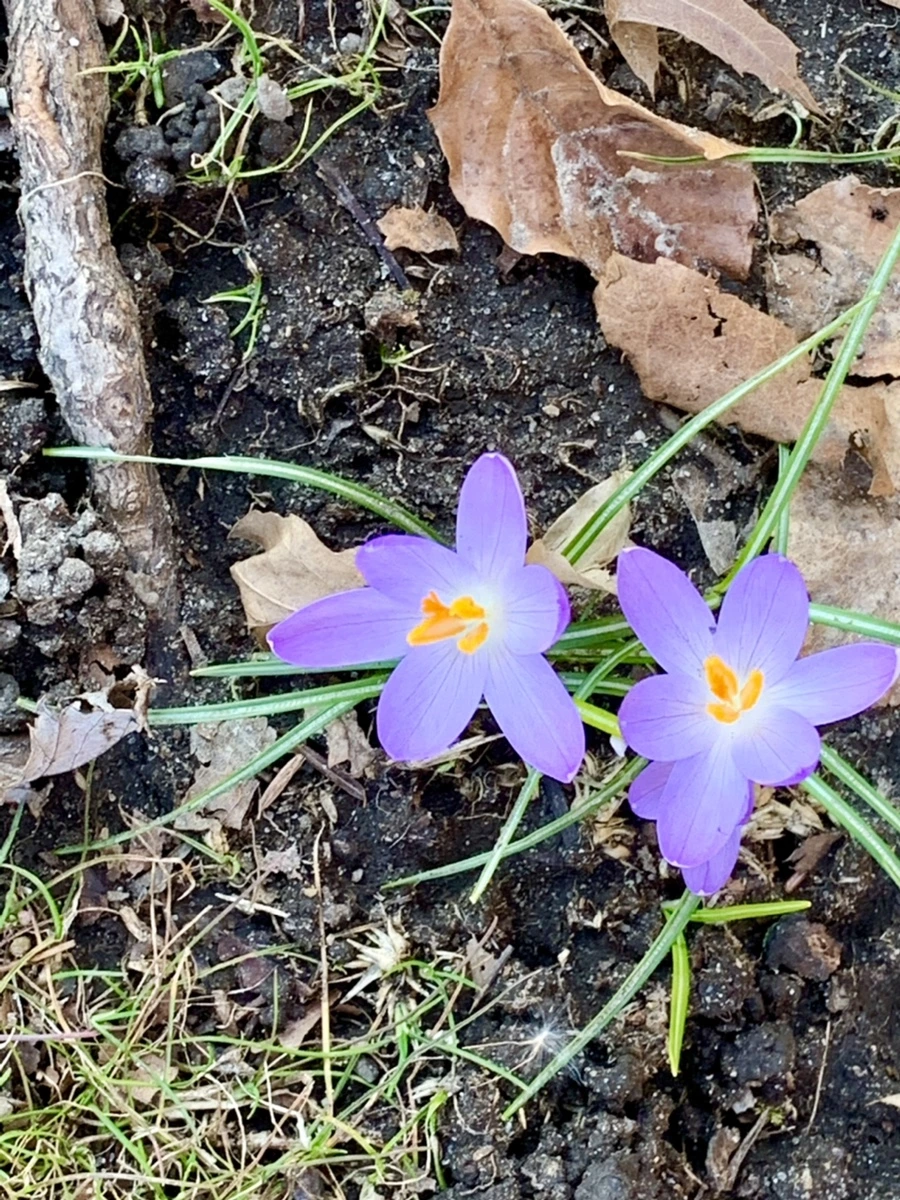 IMG_7044.jpg?type=w966