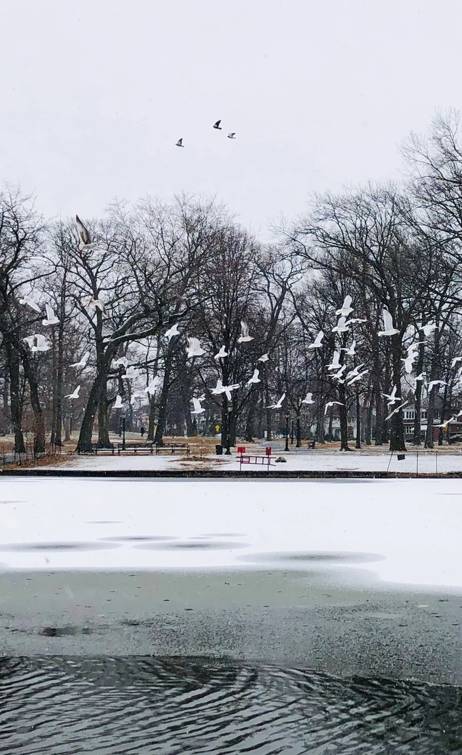 IMG_6096.jpg?type=w966