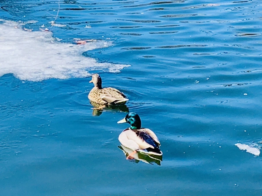 IMG_6865.jpg?type=w966