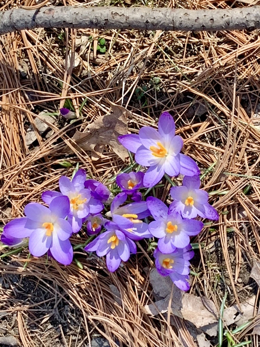 IMG_9742.jpg?type=w966