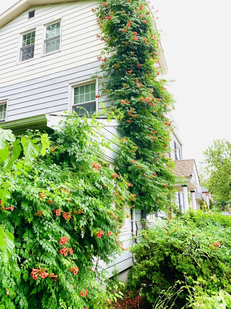 IMG_0034.jpg?type=w966