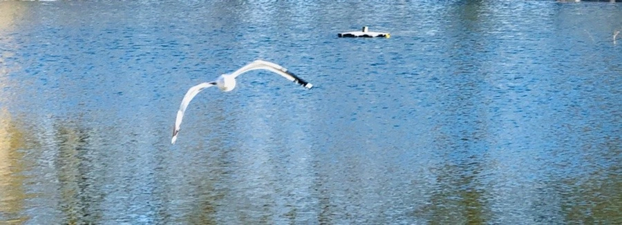 hGbh1TcGEgmYwzy-lRI28rr8xNU