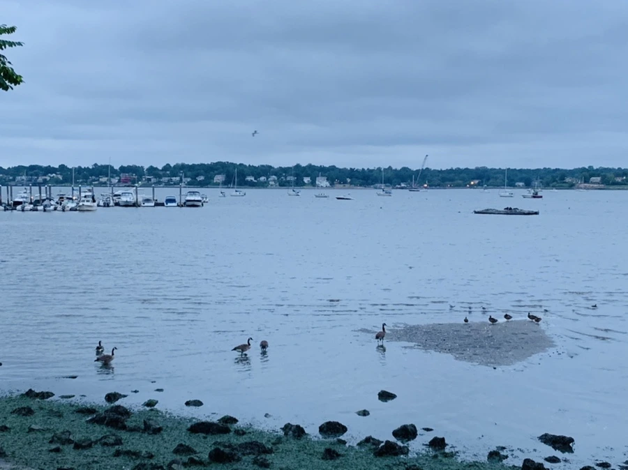 IMG_6763.jpg?type=w966