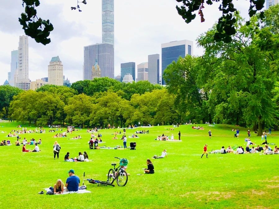 IMG_0109.jpg?type=w966