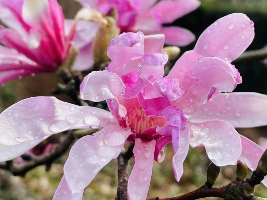 IMG_7438.jpg?type=w966